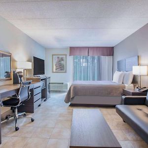 Queen Room Pet Friendly or Non-Smoking