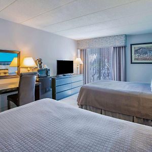 Double Room Two Double Beds Pet Friendly or Non-Smoking